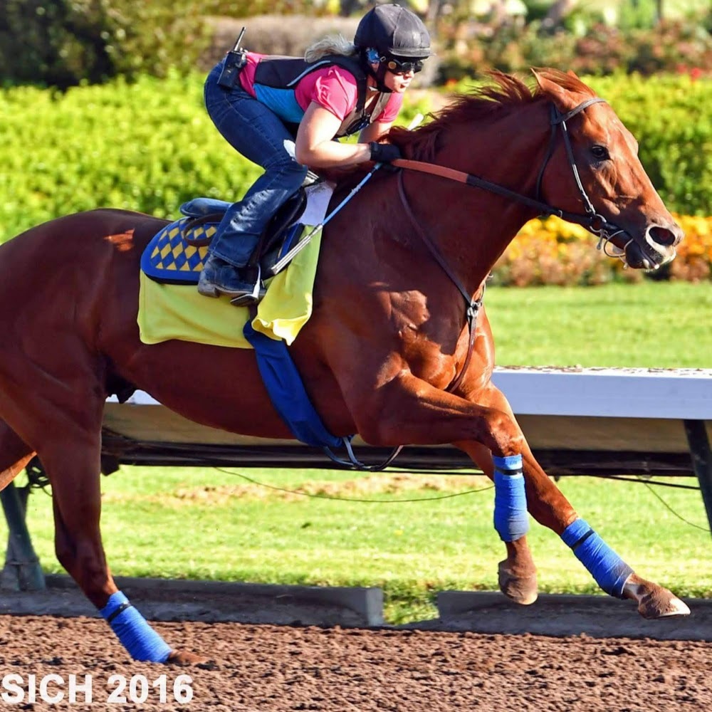 Meet your Posher, Julie